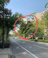 ²ۡ˭Ѽ·𶼾Է·̻ԽԽ