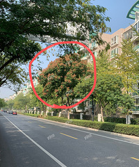 ²ۡ˭Ѽ·𶼾Է·̻ԽԽ