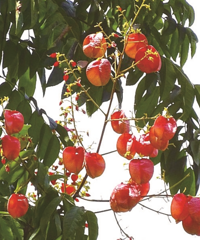 ͣ±ҧСרңֵĲ ֻռ5.9%