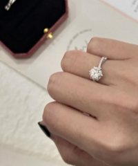 ��Ԫ���·���Īɣ�꣡������