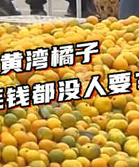 ����������������