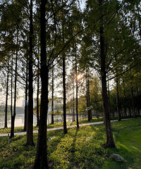 빫԰Ļ¸˰ȥһ䳬ϲ