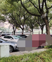 θЩҳĲѧУ˵ ǻҪ£