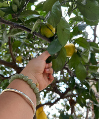 ������Ǵ��ִ��ĺü��ڣ�������Ѥ�õ�ɫ������Щ����ϲ