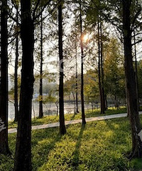 ���빫԰�����Ļ��¸���������