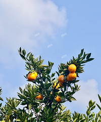 ĩ·10ϱӣ˶ൽ˵ĸо