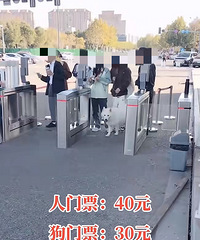 []ļٵģĳСȥҲҪƱǮ