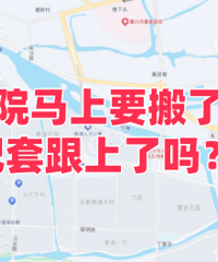 ��Ժ����Ҫ���� ���׸�������