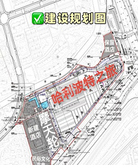 ָߺ󣬹԰ҲҪˣ˲Զ