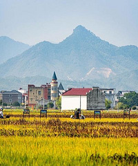 ��ٽ����� ���ο�ʼ�� �о�����¶�����