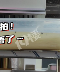 ����Ӭ�е�డ��