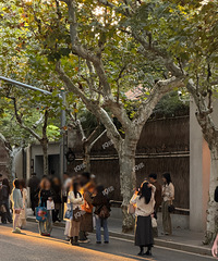 Ϻͷȷʵ˲һŶɳڸа