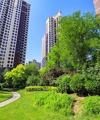 ��ĸ������������ �����Լ��ܶ�������