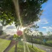 93��С����������ĺ�