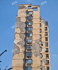 []뿴סʮϵС棡ôˣ