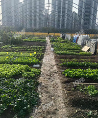 ڼĵ10Ķأ½ڵĲ˵س