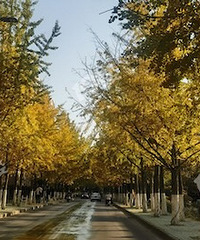 �������ڻ��ˣ�����