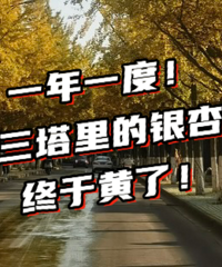 ��ĩ���Գ�����