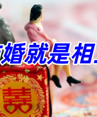 ���ڵĻ���һ�㶼������ ���һ�����ƣ�