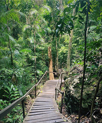 ��û�к�·�ߣ�ͽ��ѽ��