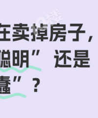 �������������ǡ��޴������ǡ���������