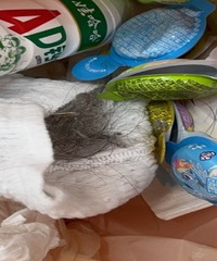 ���������ž��������ҳԶ���