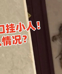 ¥���ھ��ſ�ճС�ˣ�ʲô�������