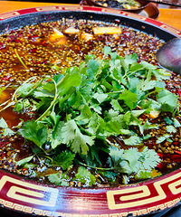 ���ܳ���������ף������������������ ����˹��˹��