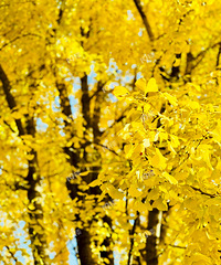 ���˿����Ӳ�һ��Ҫȥ����·������·�����·�����Ҳ�ܲ���