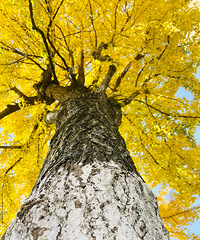 ˿ӲһҪȥ···Ҳܲ