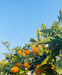 ԼֵӸɾֺóԣӸеζ