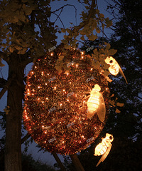 ������Ƭ������������������ˡ������޹���ȥ��