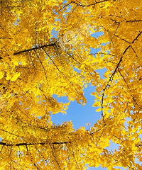 ���˿����� �α�Ҫȥ����·����