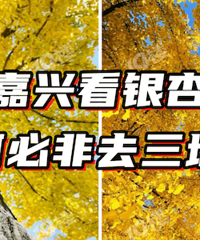 ����治��ģ�