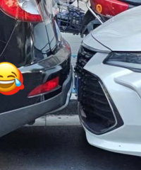 ������֪�����岻��ͣ����