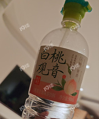 ǱƷܱ֧򲻳ĵĶ...һ