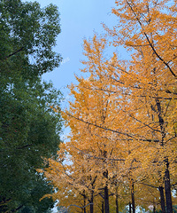 ����������ʵ���ˣ�ƽ��������Ҳ��������