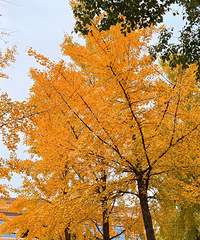 ����������ʵ���ˣ�ƽ��������Ҳ��������