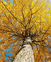 ���ݰ���ͽ���ߴ򿨳ɹ���ɽ���¿����˺ÿ��ķ�����