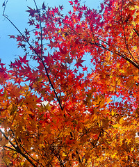 ݰͽߴ򿨳ɹɽ¿˺ÿķ