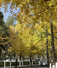 20���1�棡���������ִ���ˣ�