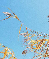 20���1�棡���������ִ���ˣ�