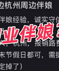 �������ְҵ���ɰ�����˵˵����