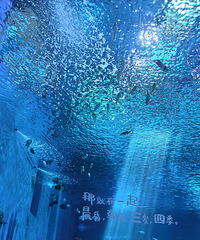 �����߷��� ���Ǹо��׶�԰��������