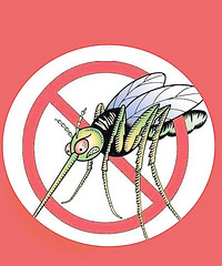 С�����ֱ�����ҧ�� ���ž��޵�һ�� ����һ�ѿ�ˮ�ڰ���