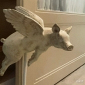 ��������һ�������ڼ�