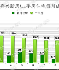 [ݳ¯]ǣ11¼¥гɽΣһ...