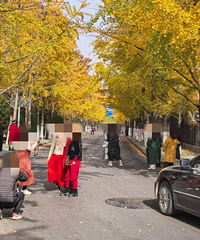 賿4󺰿ںţ·ӳ ΧԲ