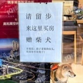 �������ǲ���û���ˣ�