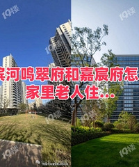 �̳Ǳ������丮�ͼ�巸���ôѡ��